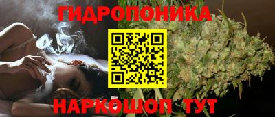 сатива Тула