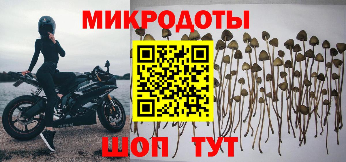 Галлюциногенные грибы мухоморы Москва