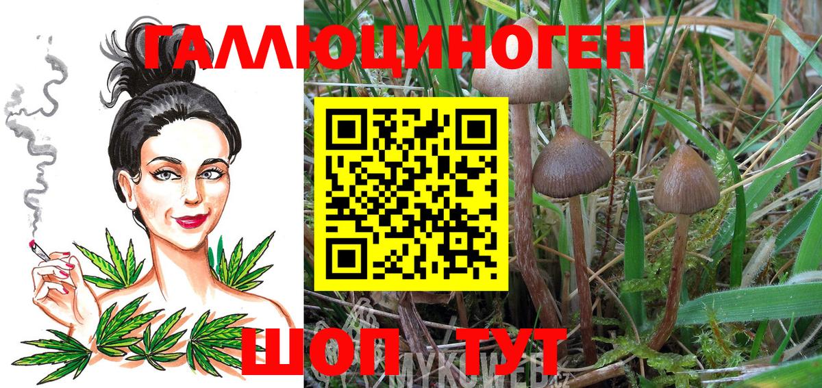 Псилоцибиновые грибы ЛСД  Вход с VPN  как найти   Галлюциногенные грибы Cubensis  Москва 